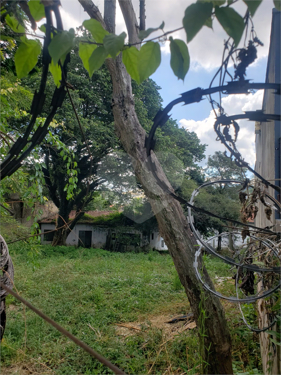 TERRENO PLANO PALMAS