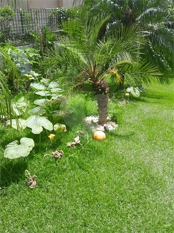 Casa, 3 quartos, 840 m² - Foto 62