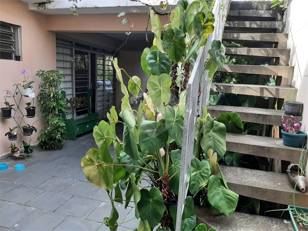 CASA TÉRREA em TREMEMBÉ