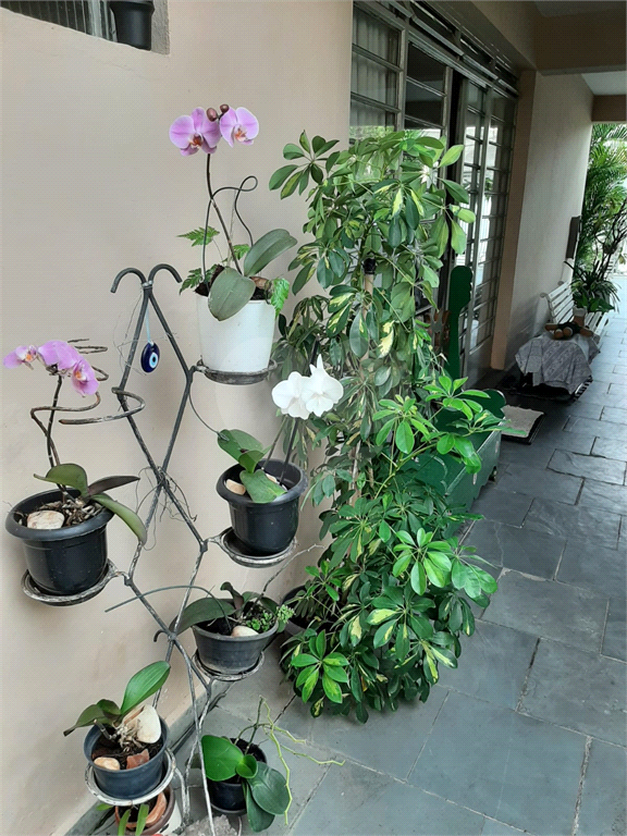 CASA TÉRREA em TREMEMBÉ