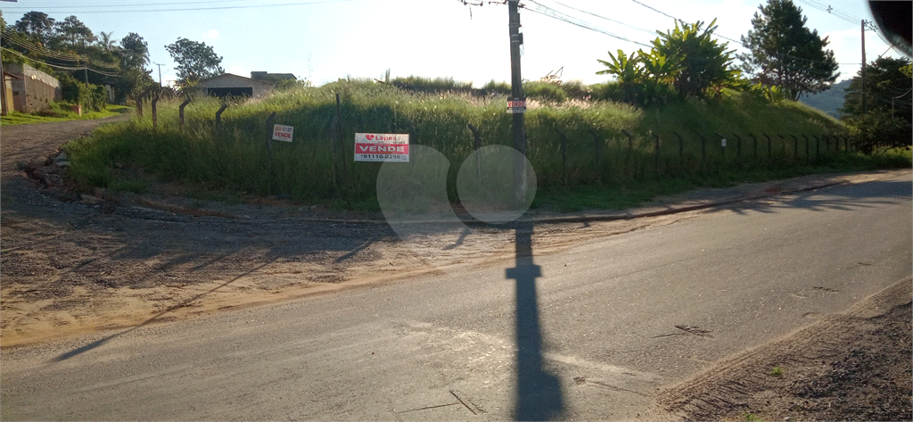 Terreno, 4345 m² - Foto 6