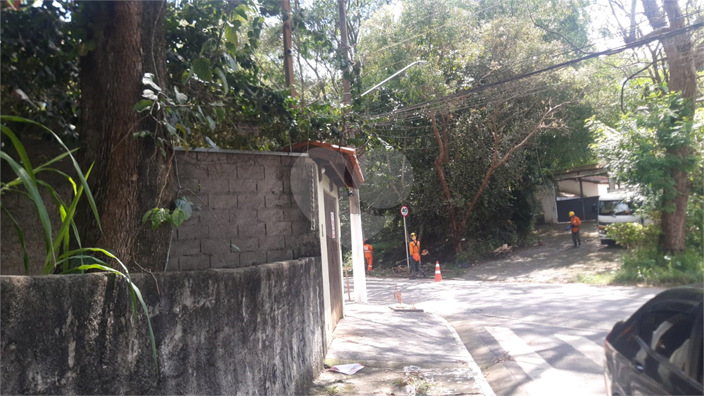 Terreno