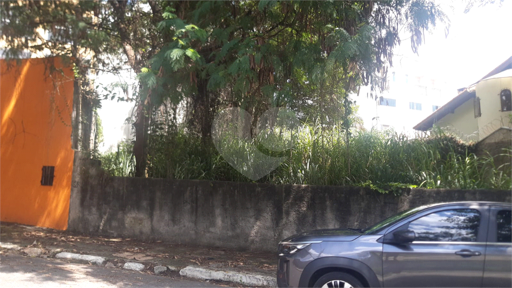 Terreno