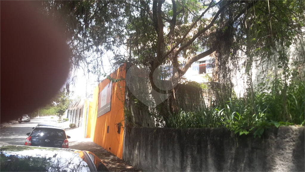 Terreno
