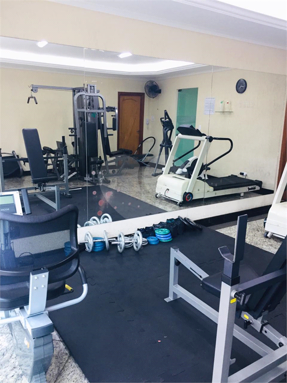 Apartamento À Venda na Vila Paulicéia