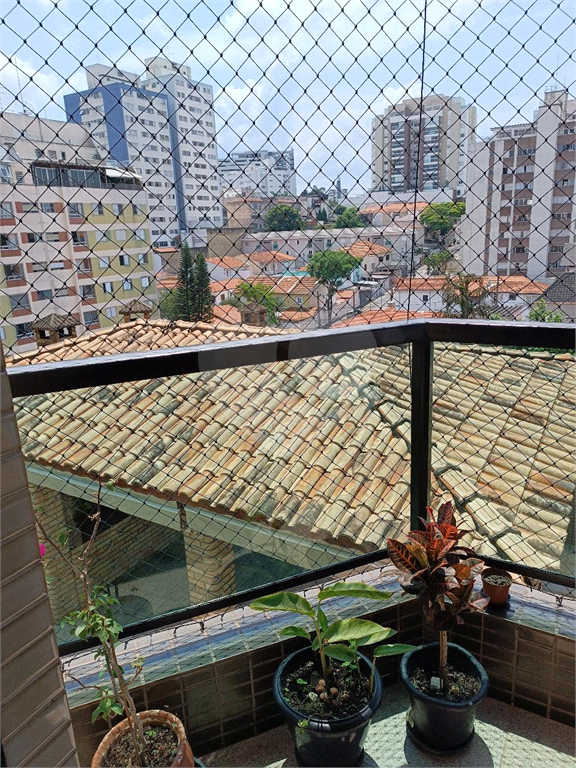 Apartamento À Venda na Vila Paulicéia
