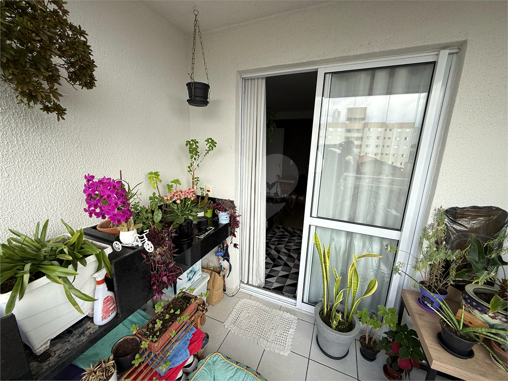 Apartamento do Tucuruvi com 3 dormitóriose lazer completo 