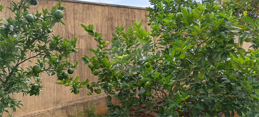 Apartamento em Pirituba com 70m2. 2 quartos, sendo um suíte, 2 banheiros e 2 vagas.