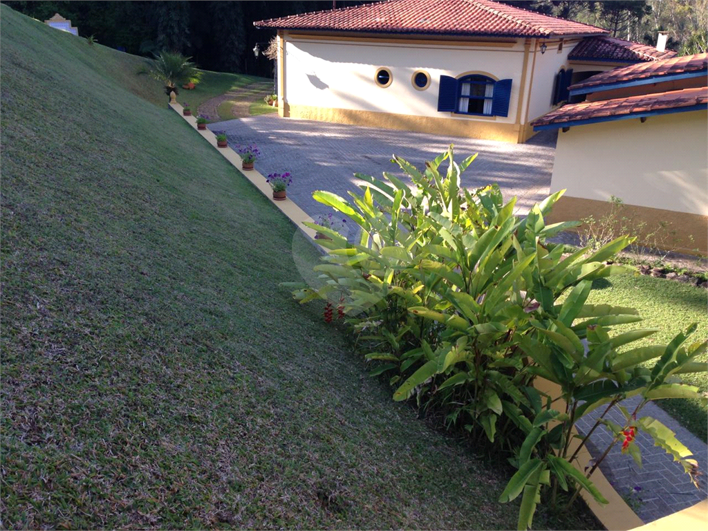 Sítio, 4 quartos, 4 hectares - Foto 44