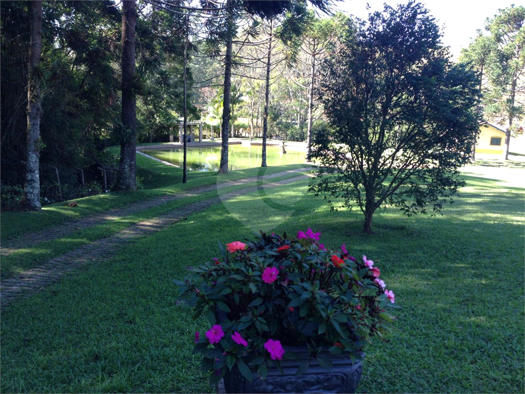 Sítio, 4 quartos, 4 hectares - Foto 39