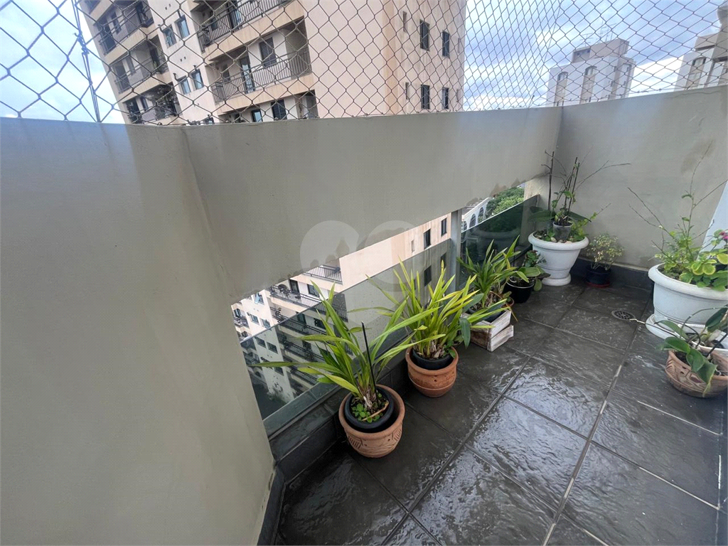 Apartamento - Venda - Tucuruvi