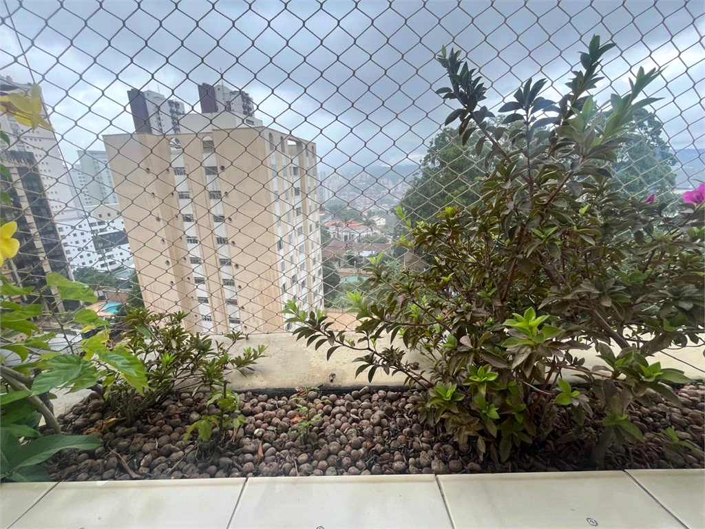 Apartamento - Venda - Tucuruvi