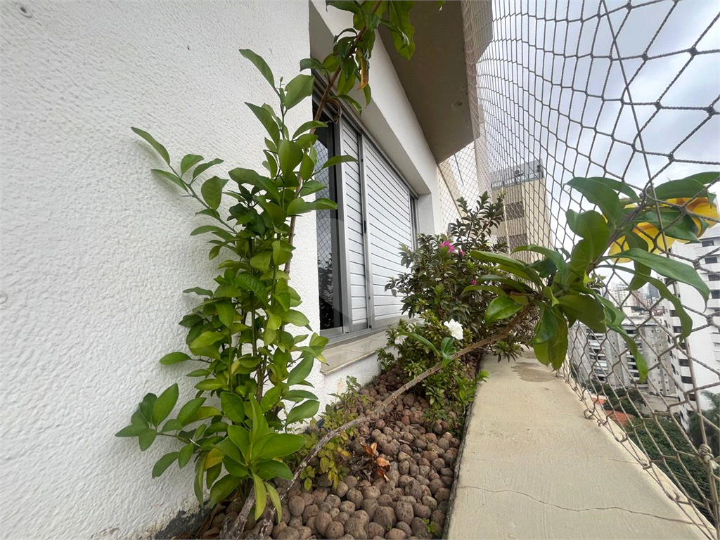 Apartamento - Venda - Tucuruvi