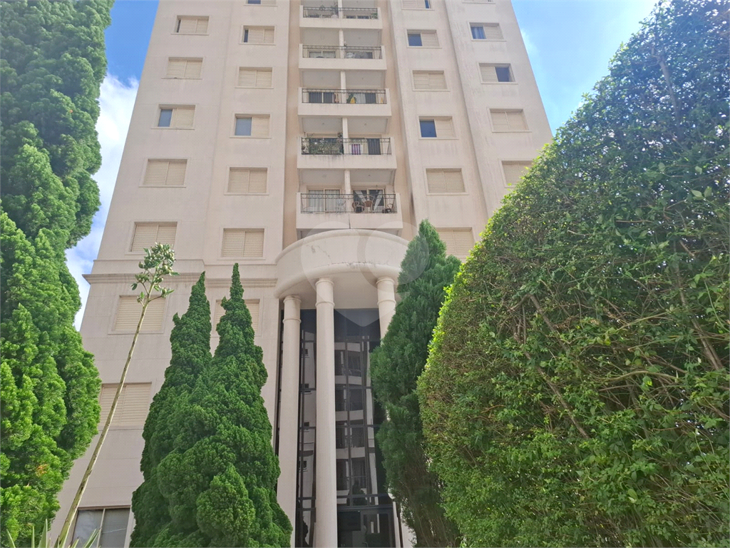 APARTAMENTO em MANDAQUI