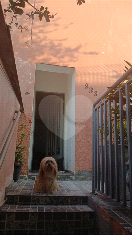 Casa, 3 quartos, 110 m² - Foto 3