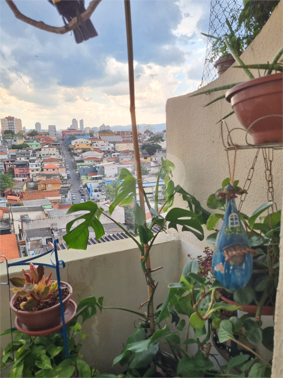 " Condomínio Rio Meimoa é ideal para quem busca conforto e entretenimento."