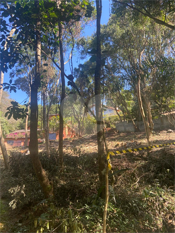 TERRENO em ROSEIRA