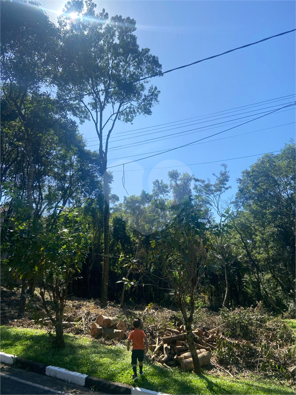 TERRENO em ROSEIRA