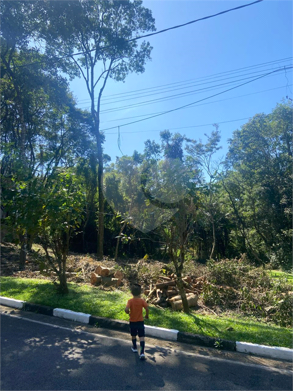 TERRENO em ROSEIRA