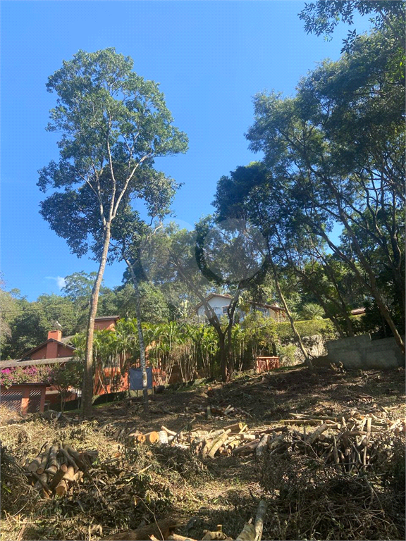TERRENO em ROSEIRA