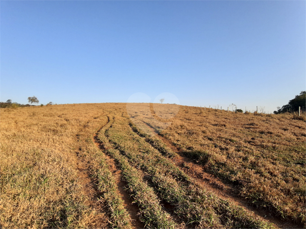 ÁREA DE TERRA em BAIRRO DO PINHAL