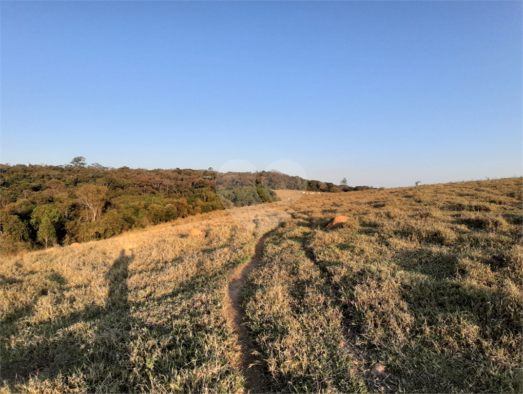 ÁREA DE TERRA em BAIRRO DO PINHAL