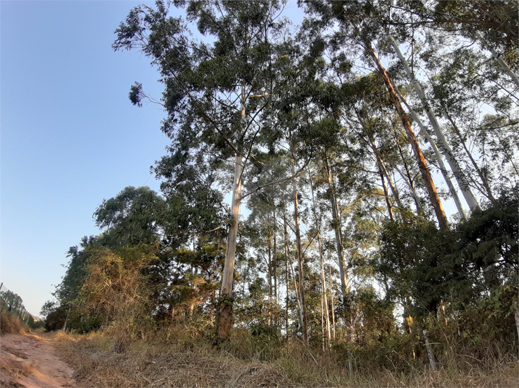 ÁREA DE TERRA em BAIRRO DO PINHAL