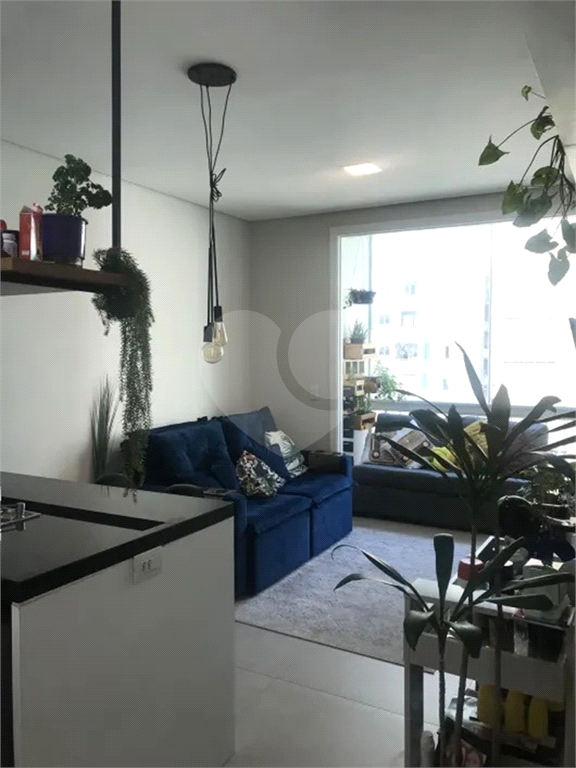 BELA VISTA - APARTAMENTO REFORMADO DE 2 DORMITÓRIOS
