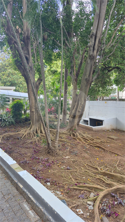Apartamento de 48m² a venda na rua Carneiro Leão  - Brás.