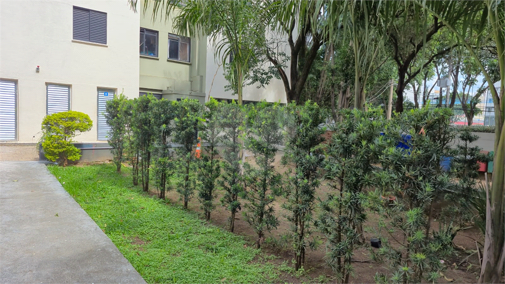 Apartamento de 48m² a venda na rua Carneiro Leão  - Brás.
