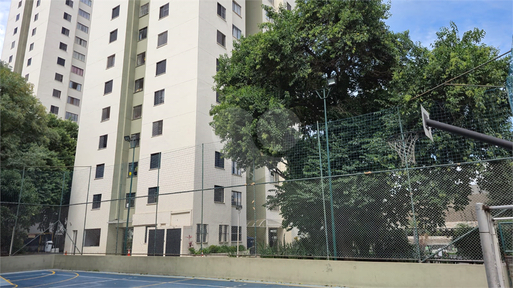 Apartamento de 48m² a venda na rua Carneiro Leão  - Brás.