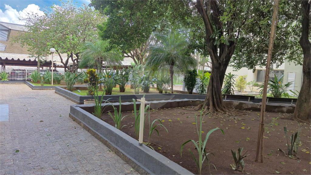 Apartamento de 48m² a venda na rua Carneiro Leão  - Brás.