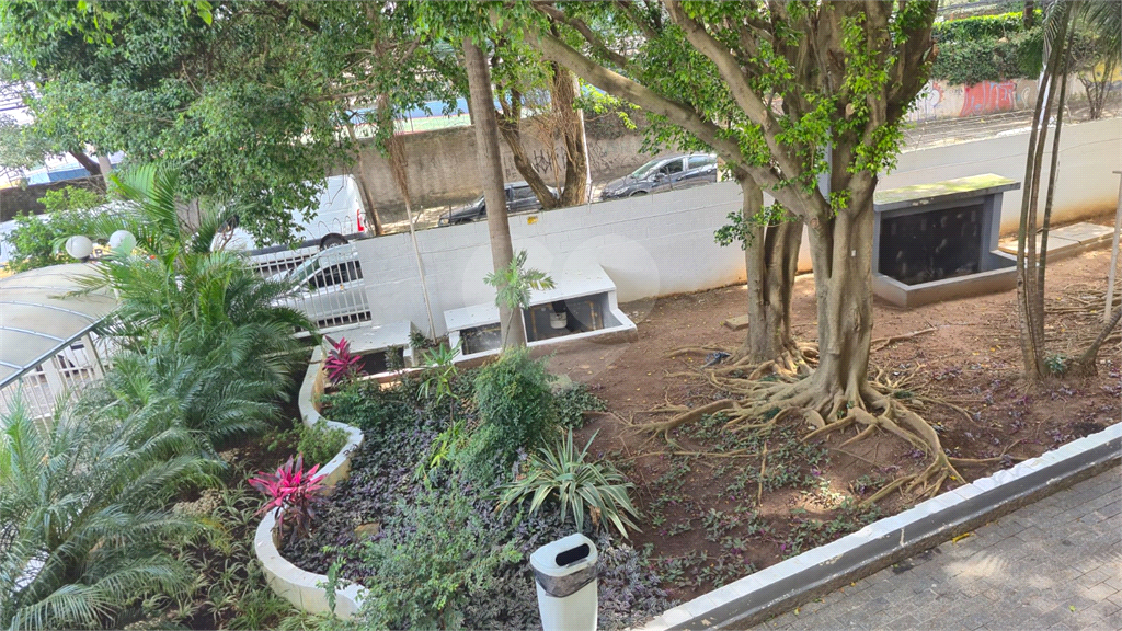 Apartamento de 48m² a venda na rua Carneiro Leão  - Brás.