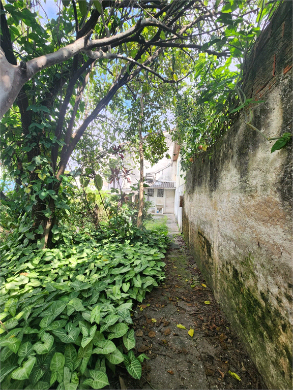 casa terrea -pauliceia