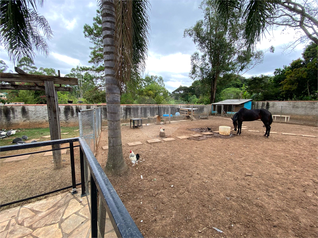 Chácara, 2 quartos, 2578 m² - Foto 34