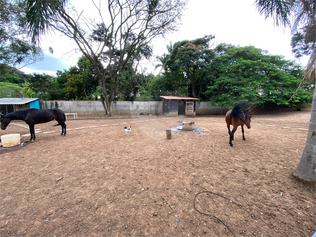 Chácara, 2 quartos, 2578 m² - Foto 33