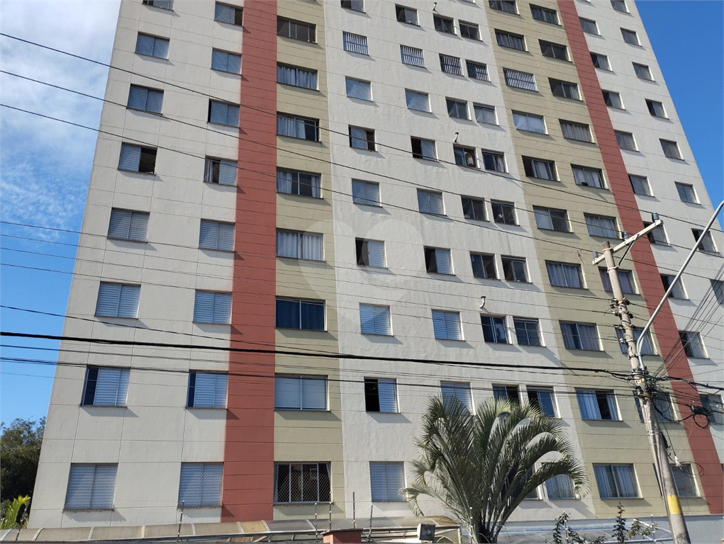 APARTAMENTO LAUZANE