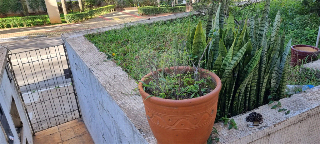 TERRENO em SANTANA