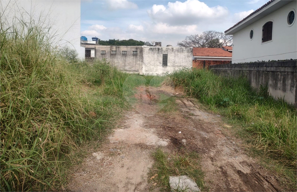 TERRENO em LAUZANE PAULISTA