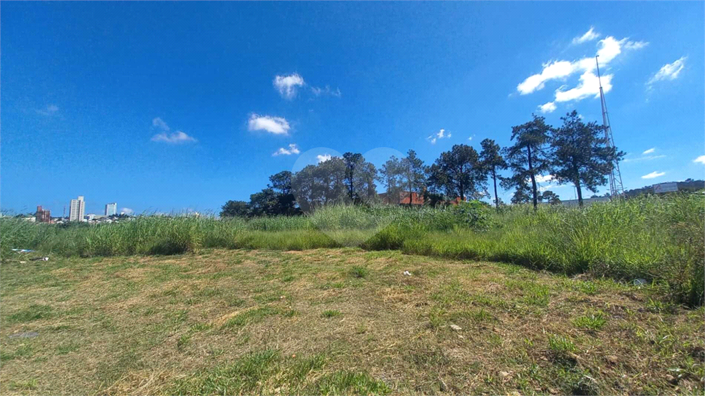 Terreno à venda, 80500m² - Foto 7