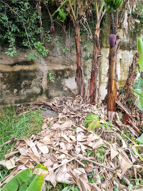 Terreno com 175 m² à Venda em Localização Privilegiada