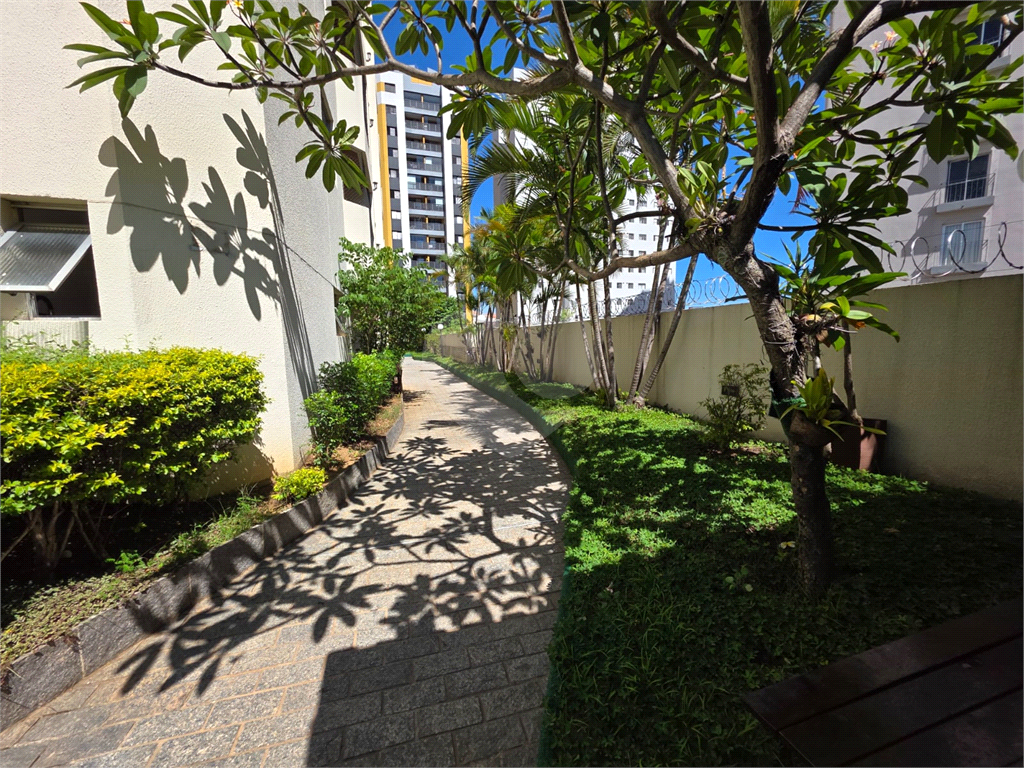 APARTAMENTO em SANTA TEREZINHA