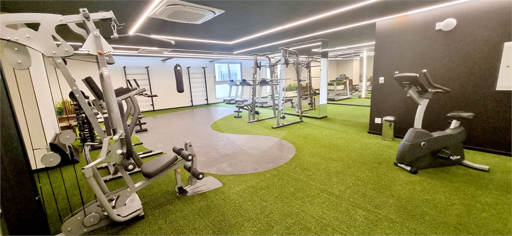 STUDIO  / MOEMA