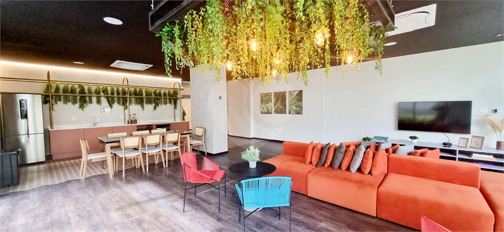 STUDIO  / MOEMA
