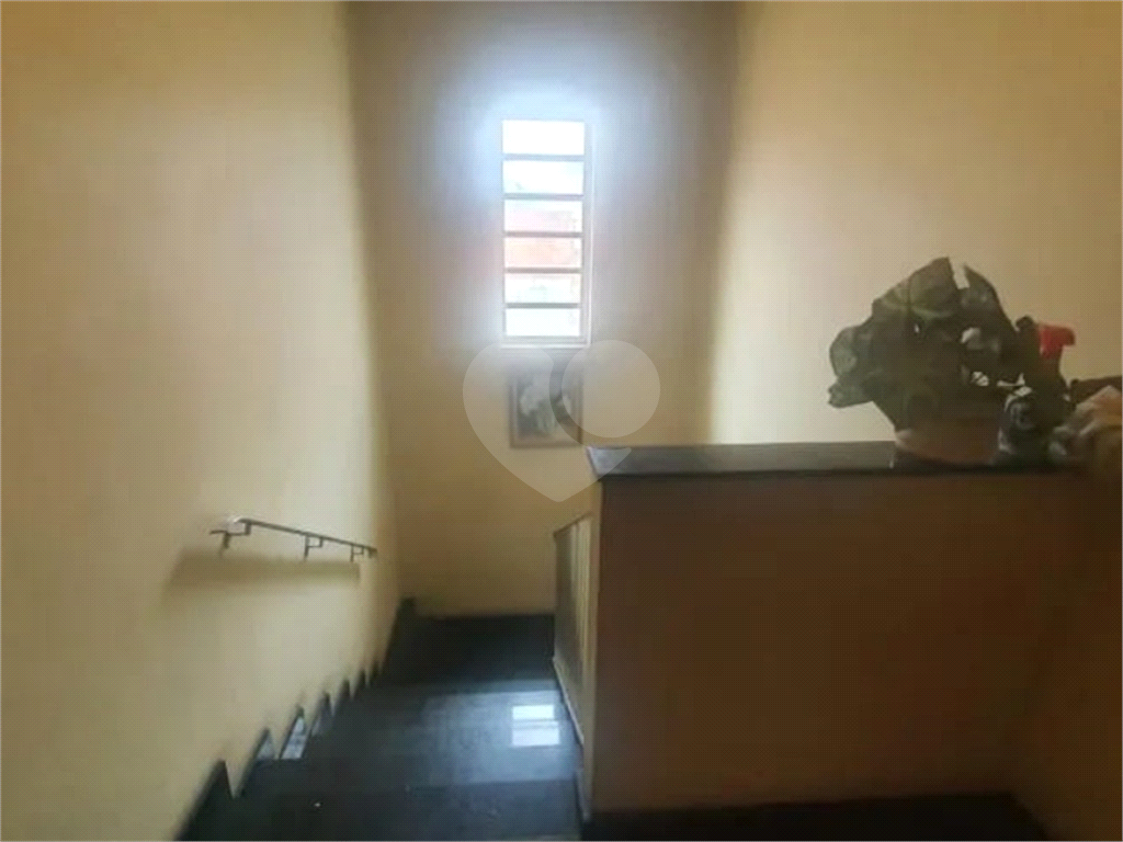 Excelente Imóvel à Venda na Av. Mazzei – Tucuruvi | Ideal para Moradia, Comércio ou Investimento Imobiliário 300 M² (10x30)