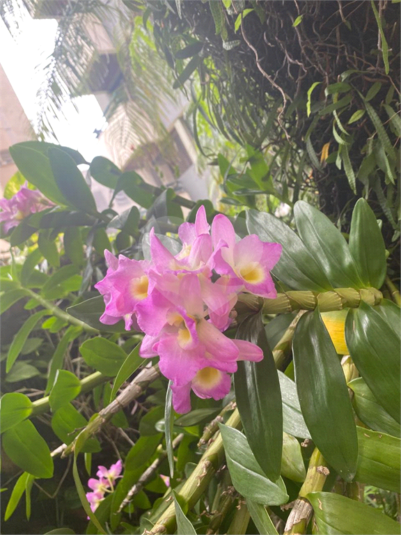 APARTAMENTO em BELA VISTA