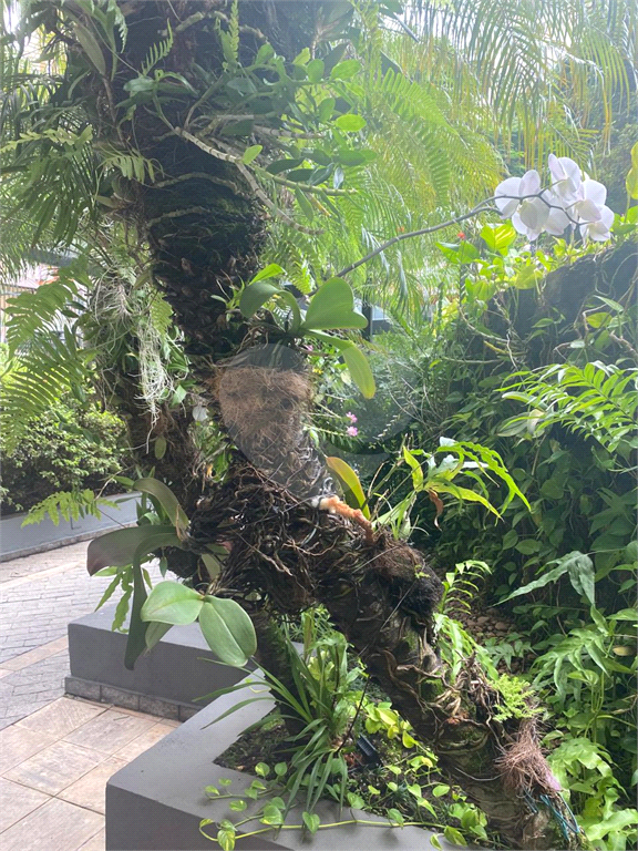 APARTAMENTO em BELA VISTA