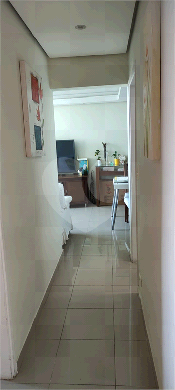 APARTAMENTO NO BARRO BRANCO ZN DE SÃO PAULO