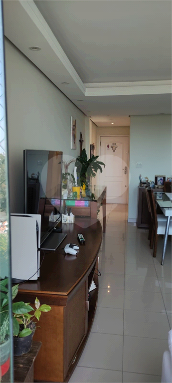 APARTAMENTO NO BARRO BRANCO ZN DE SÃO PAULO