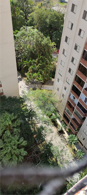APARTAMENTO NO BARRO BRANCO ZN DE SÃO PAULO